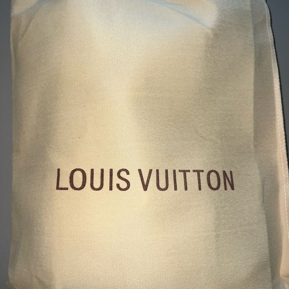 Louis Vuitton Fastline Black MessengerBag - Picture 2 of 7